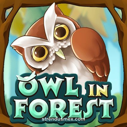 Imagen del juego Owl In Forest