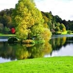 Avatar de Iker Padilla